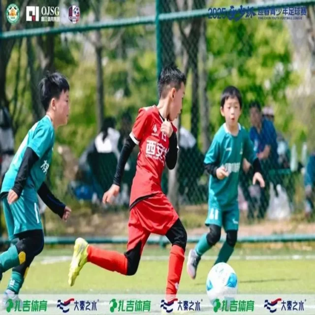 转会市场趋势观察：数据视角揭秘第379组变化